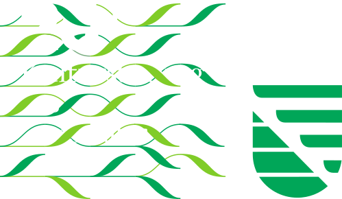 Logo der Kulturstiftung des Freistaates     Sachsen